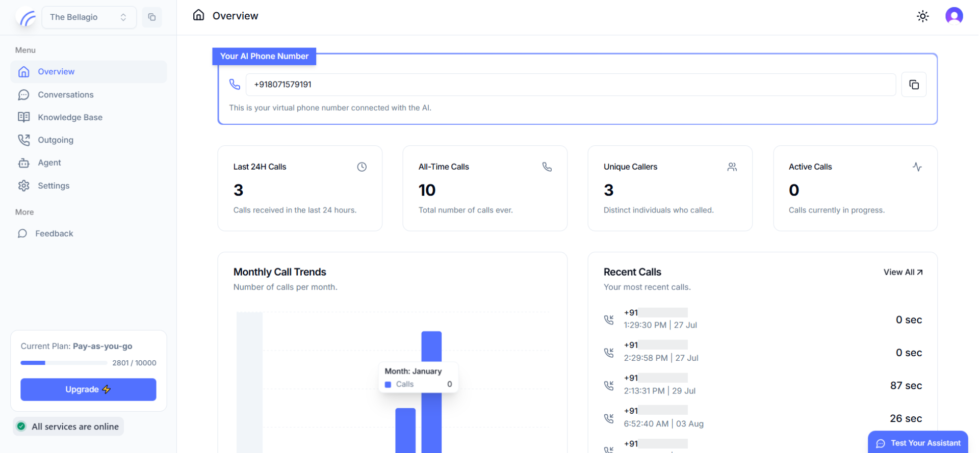 Overview dashboard with call stats and monthly trends